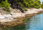 2018 08-IMG 4204 : Cavtat